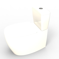 toilet - Thumbnail 17