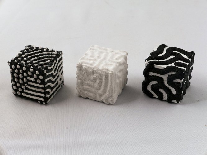 Reaction-Diffusion Cube 3D Print 51588