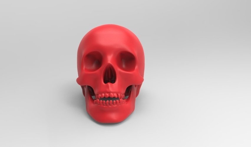 Skull Bank 3D Print 51626