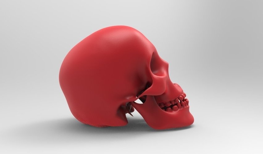 Skull Bank 3D Print 51628
