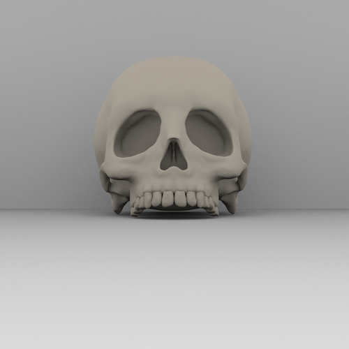 Real skull 3D Print 52357