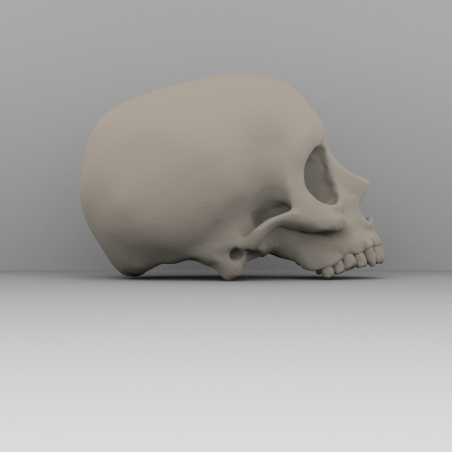Real skull 3D Print 52358