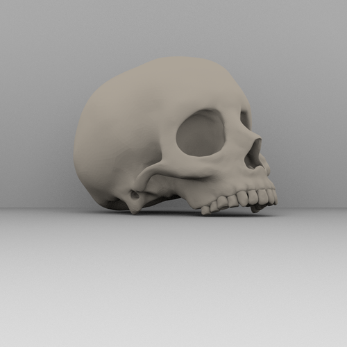 Real skull 3D Print 52359