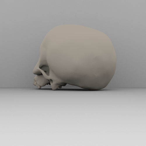 Real skull 3D Print 52360