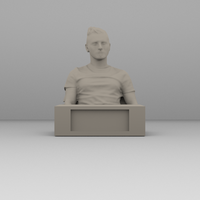 Small Scanned bust and reworked with stand 3D Printing 52396