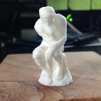 Small The Thinker 3D Printing 53269