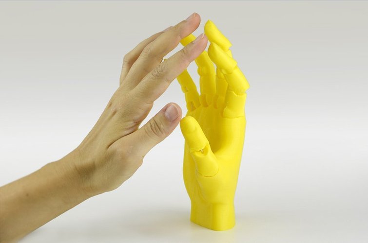 Jointed Hand 3D Print 54190