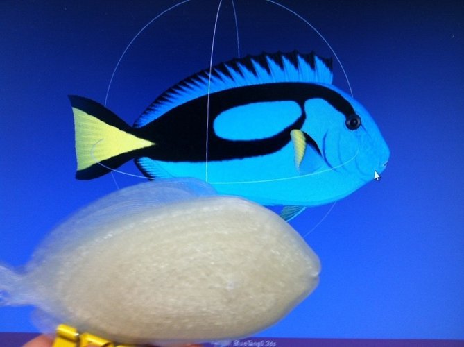 Print this Fish: 3D Printing Challenge 3D Print 56225