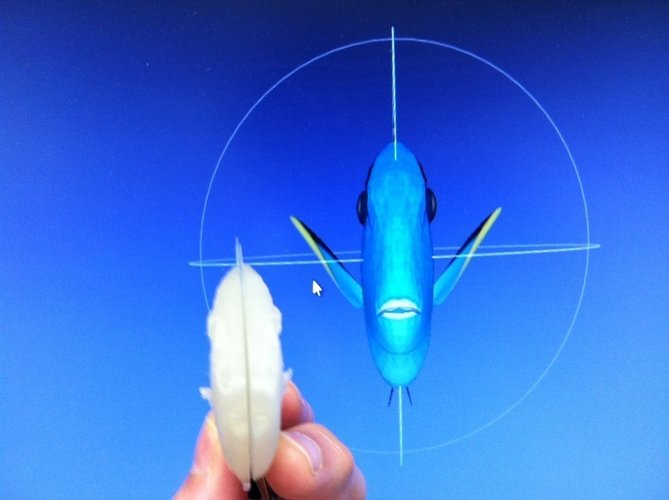 Print this Fish: 3D Printing Challenge 3D Print 56226