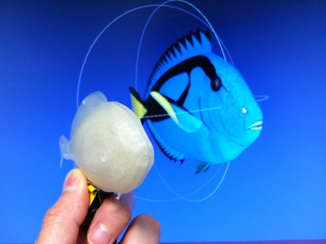 Print this Fish: 3D Printing Challenge 3D Print 56227