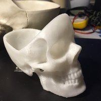 Small skull Ashtray 3D Printing 57428
