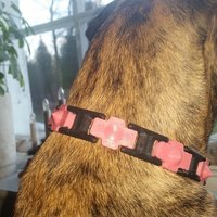 Small Dog collar with studs 3D Printing 57695