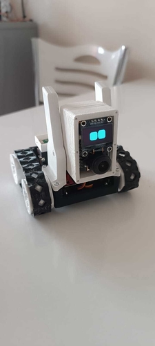 CyberRovers-cam 3D Print 578017 CyberRovers-cam 3D Print 578017