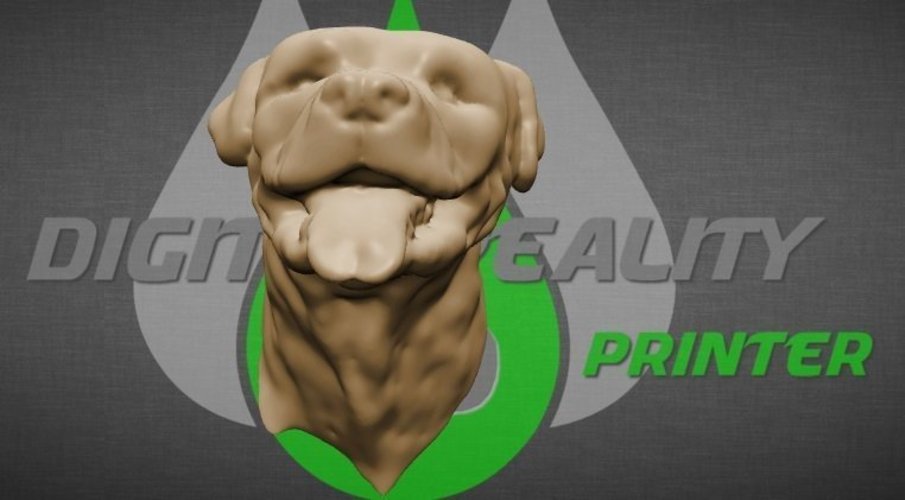 Rottweiler dog head 3D Print 58384