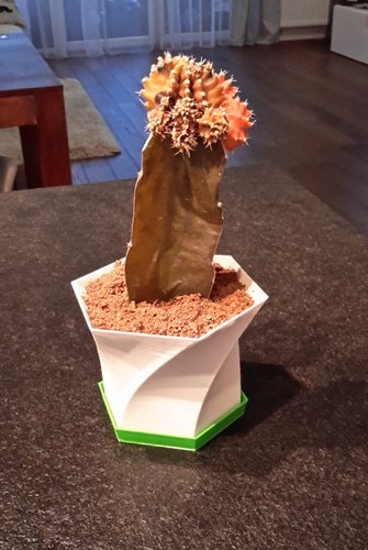 Vase: Flower pot + plate pot 3D Print 59845