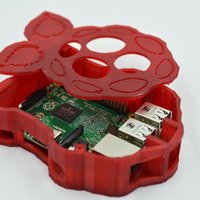 Small Raspberry-shaped Raspberry Pi Case 3D Printing 61070