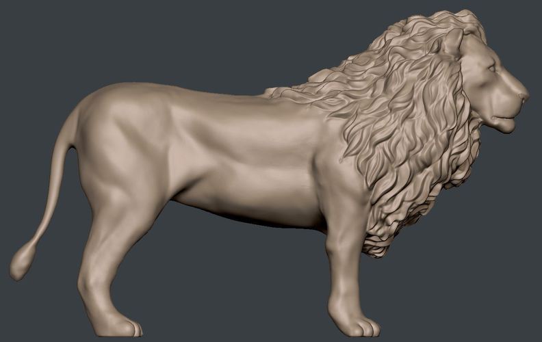 Lion 3D Print 63140