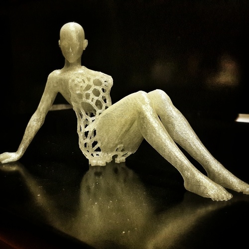 Voronoi Experiment no:13 Confidential 1 3D Print 63639