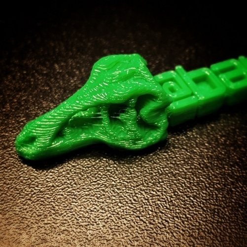 T-rex Keychain With Custom Message 3D Print 63642