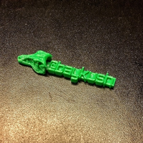 T-rex Keychain With Custom Message 3D Print 63647