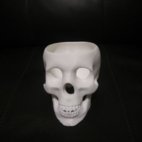 Small Skull Planter 3D Printing 65343