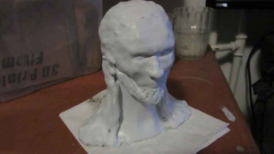 White Walker bust. 3D Print 66213