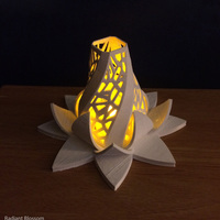 Small Radiant Blossom 3D Printing 68446