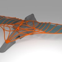 Small RC Accessory - Da Vinci fly-cage 3D Printing 70030