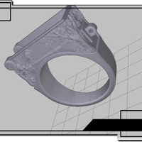 Small Ring with a secret 3D Printing 74264