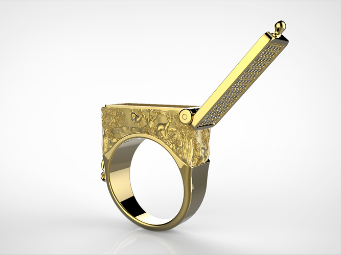 Ring with a secret 3D Print 74265