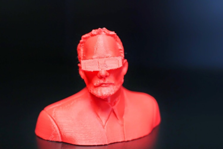Bill Murray 3D 3D Print 747