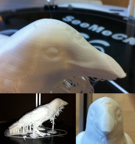 Three Eyed Crow 3D Print 76237
