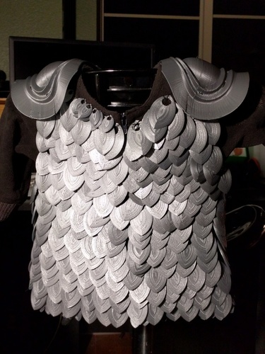 Auerlia, Warrior of Valhalla (Scale Mail Armor) 3D Print 78349