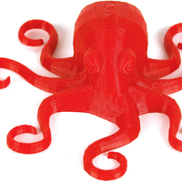 Small Flexible Octopus 3D Printing 79034