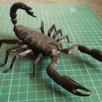 Small Scorpion. 3D Printing 82155