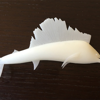 Small Sailfish 3D Printing 83679