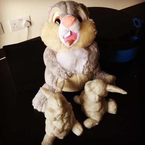 3D Scanned Thumper 3D Print 83870 3D Scanned Thumper 3D Print 83870