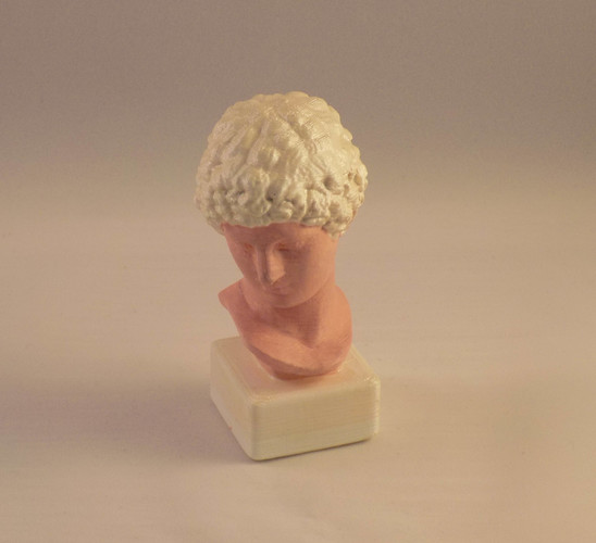 buste romain 3D Print 85904