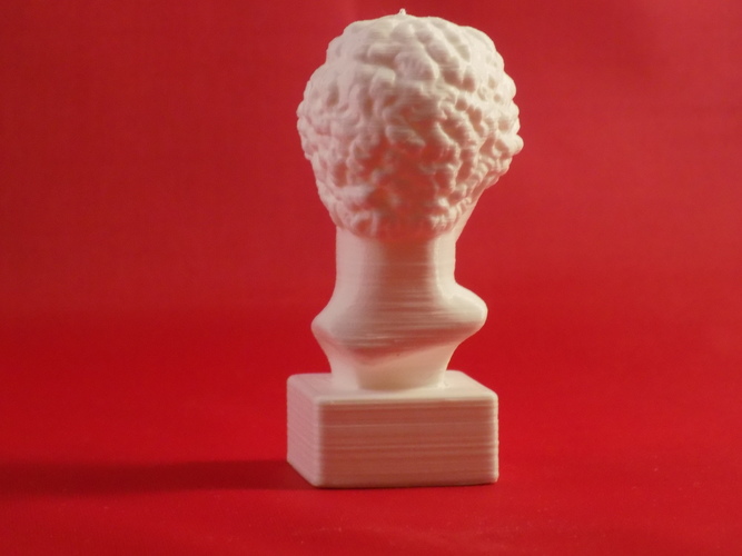 buste romain 3D Print 85913