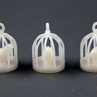 Small Bird Cages  3D Printing 91099