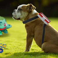 Small pokemon go doggysitter 3D Printing 92448