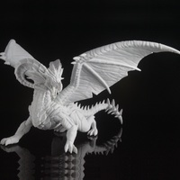Small Dragon 3D Printing 92697