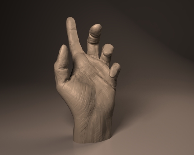 hand anatomy 3D Print 93700 hand anatomy 3D Print 93700