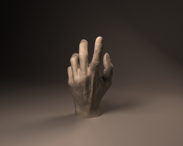 hand anatomy 3D Print 93701 hand anatomy 3D Print 93701