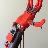 Small "Spock" Basketball Prosthetic Hand 3D Printing 94217