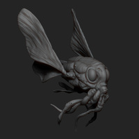Small Pre-Historic Fly 3D Printing 9431