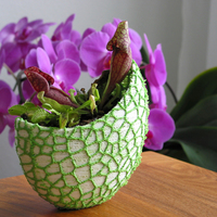 Small Organic flower pot / Voronoi Vase (2-color) 3D Printing 96799