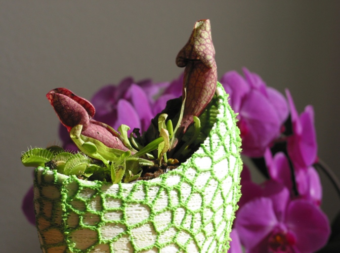 Organic flower pot / Voronoi Vase (2-color) 3D Print 96800