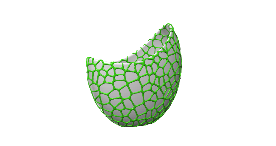 Organic flower pot / Voronoi Vase (2-color) 3D Print 96806