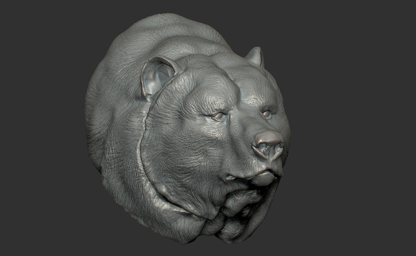 Grizzly bear bust 3D Print 97397